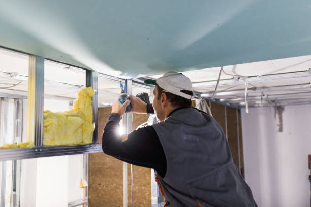 Best Geographic-Specific Insulation Services in Farngton, MI